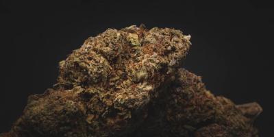 Аудит операционной деятельности: повысьте эффективность вашего предприятия!