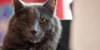 Налоговое законодательство для аудиторов: практические кейсы