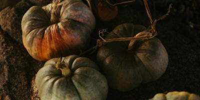 Консультации по бухгалтерскому учёту и аудиту